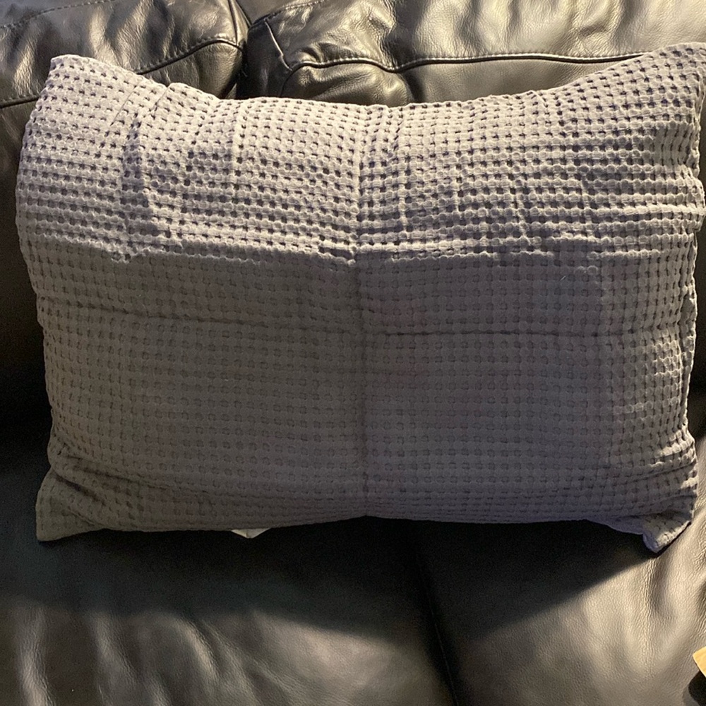 POTTERY BARN dorm WAFFLE JERSEY BACK
STANDARD SHAM Format Standard 20” x 26” NWT